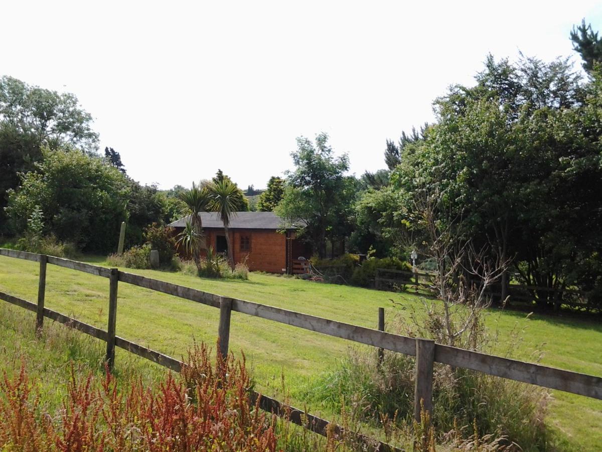 Tudor Lodge With Pool & Bbq Cabin リスカード エクステリア 写真